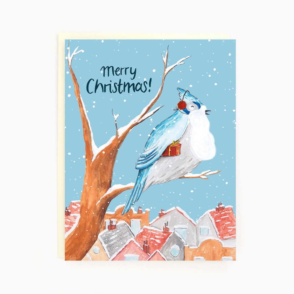 Holiday Blue Jay Card