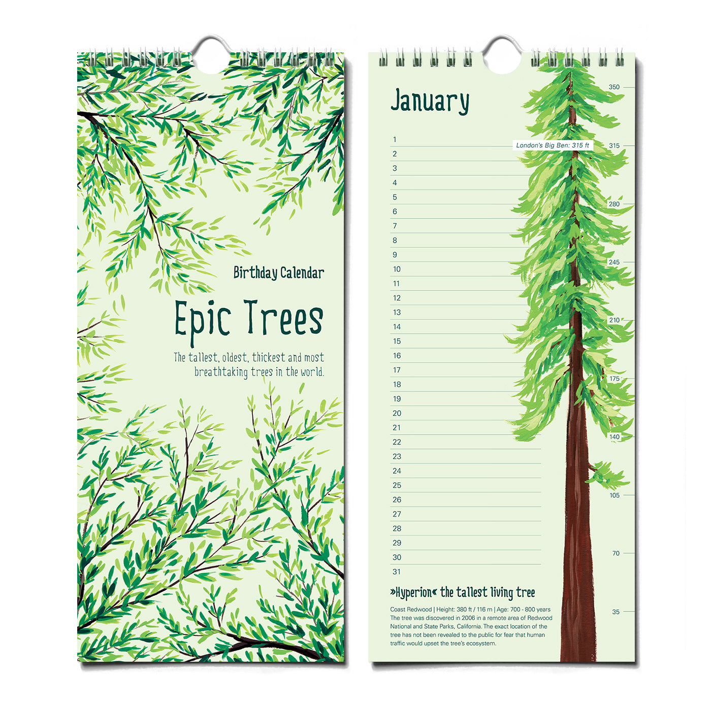 Epic Trees Calendar - Birthday Calendar – The Paperhood