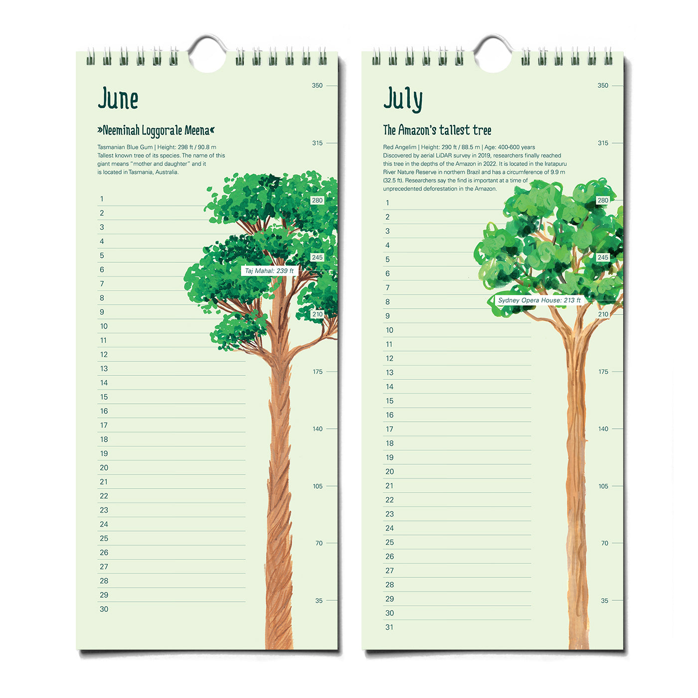 Epic Trees Calendar - Birthday Calendar – The Paperhood