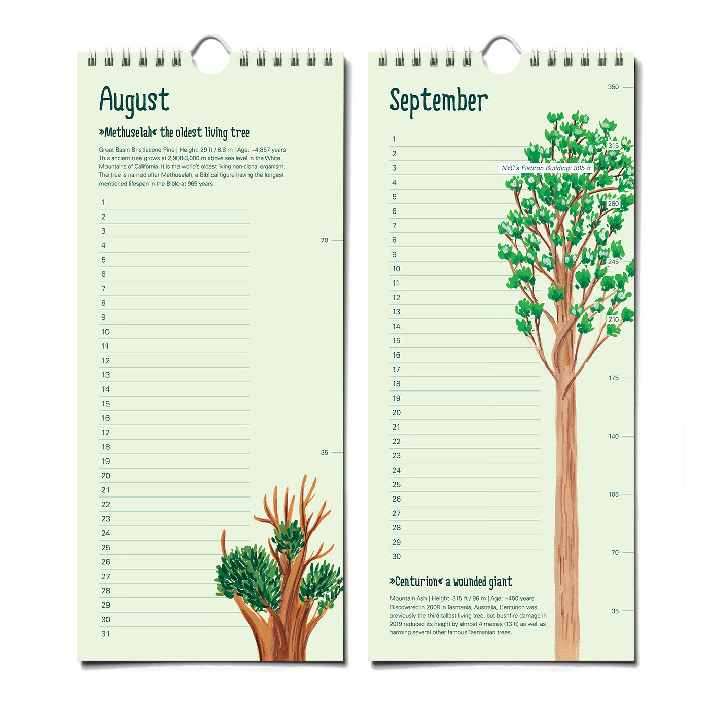 Epic Trees Calendar - Birthday Calendar – The Paperhood