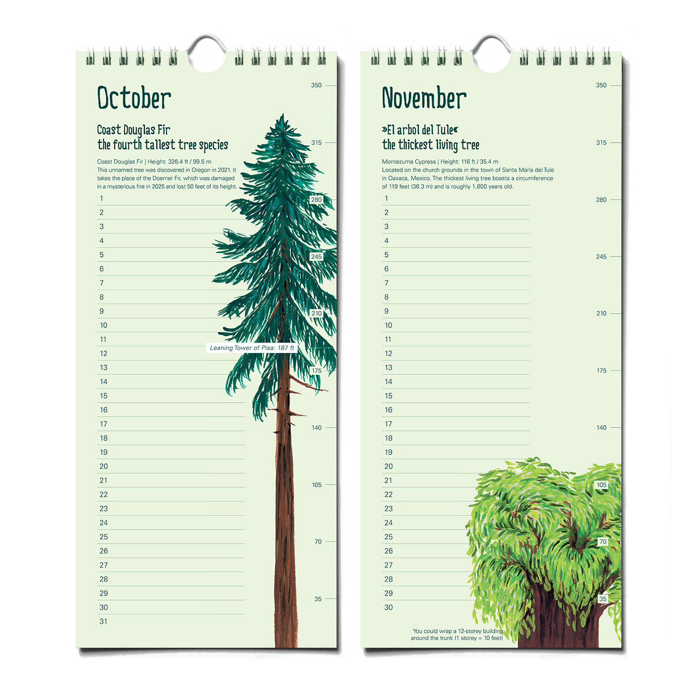 Epic Trees Calendar - Birthday Calendar – The Paperhood