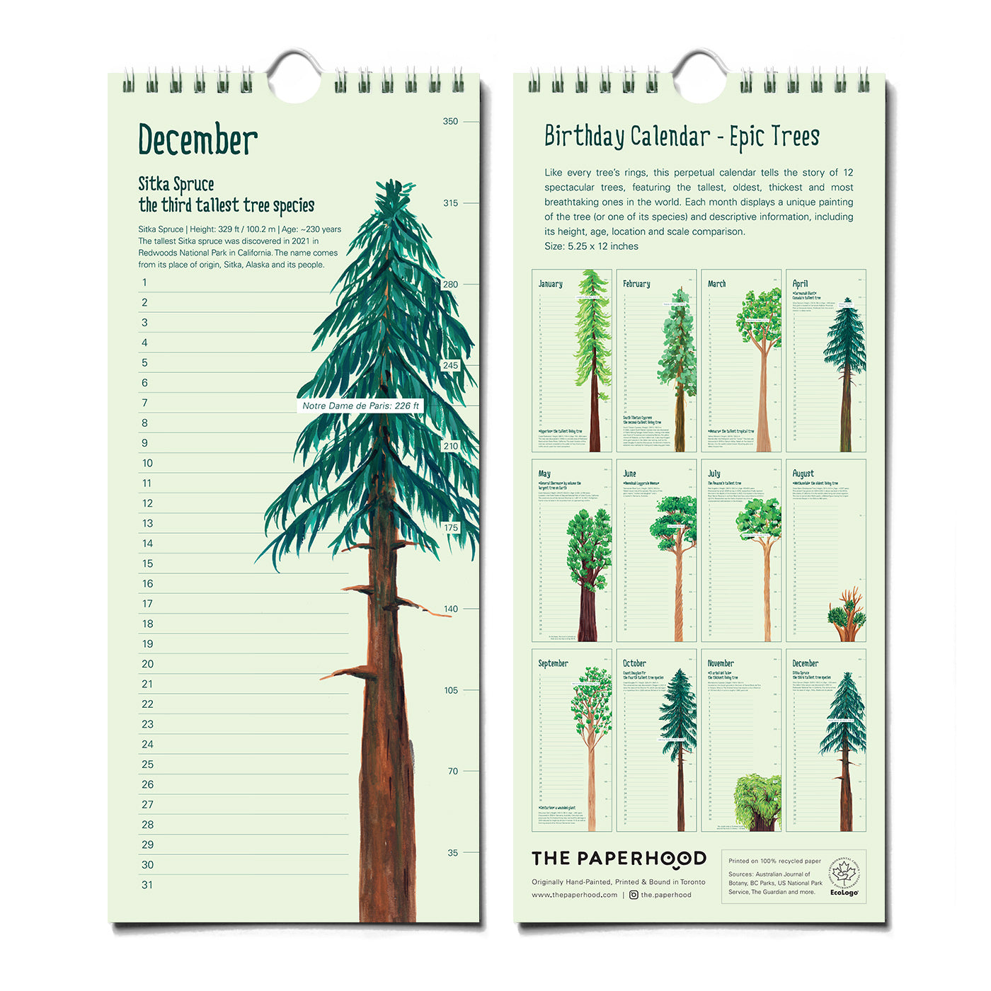 Epic Trees Calendar - Birthday Calendar – The Paperhood