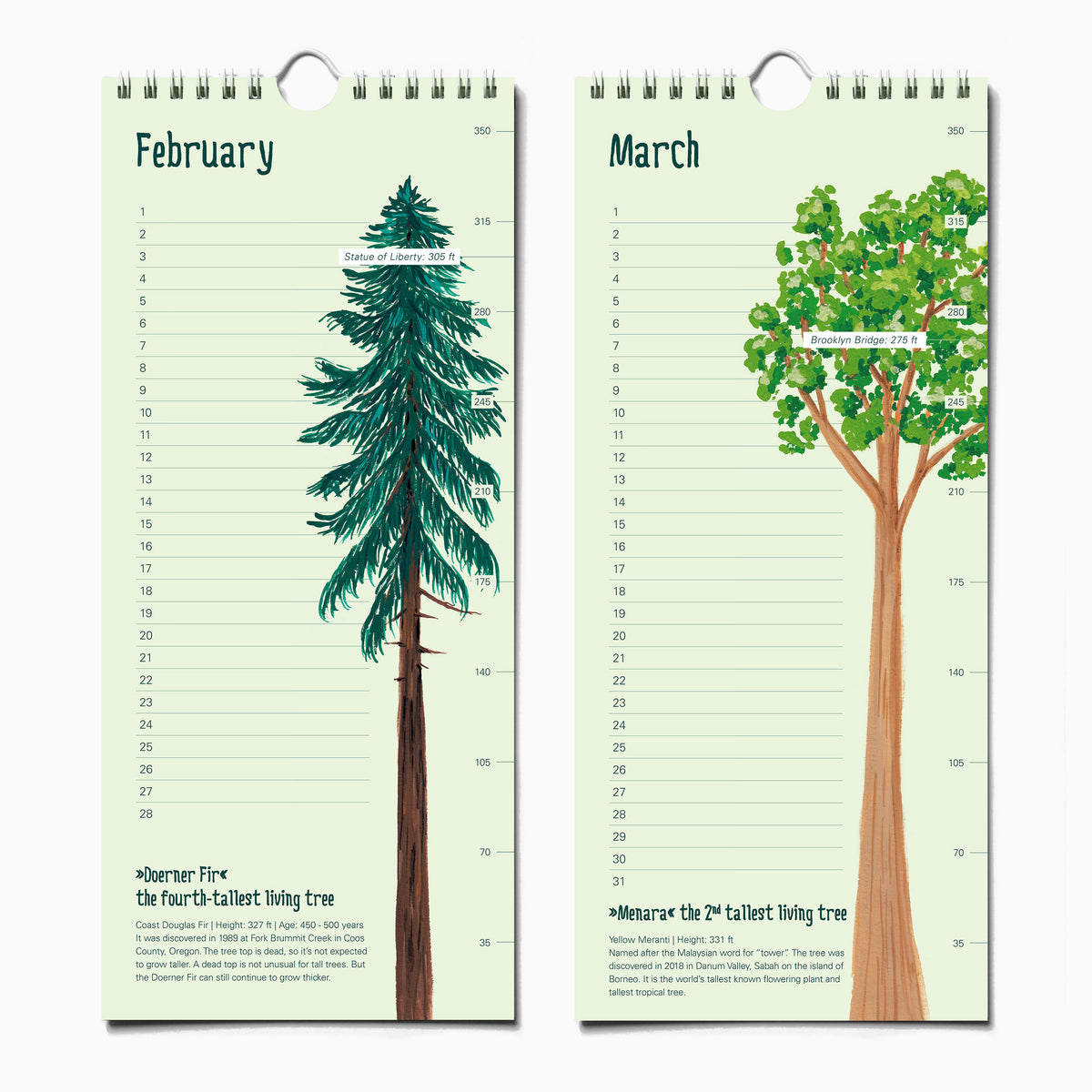 Tree Term Calendar Epic Trees Calendar - Birthday Calendar – The Paperhood