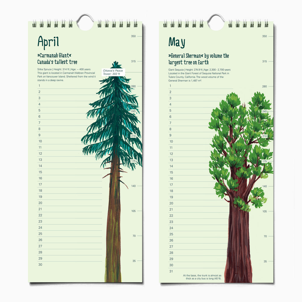 
                  
                    Load image into Gallery viewer, Epic Trees Calendar - Birthday Calendar
                  
                