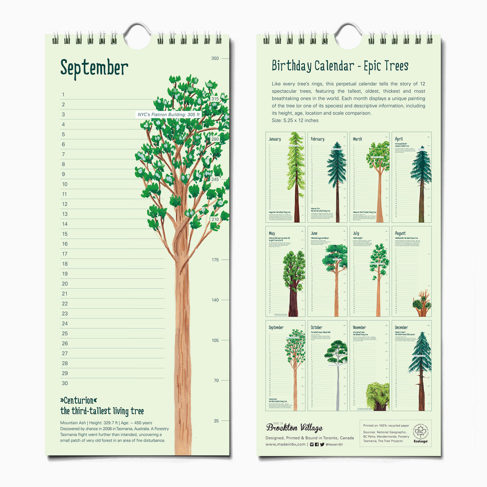 Epic Trees Calendar - Birthday Calendar – The Paperhood