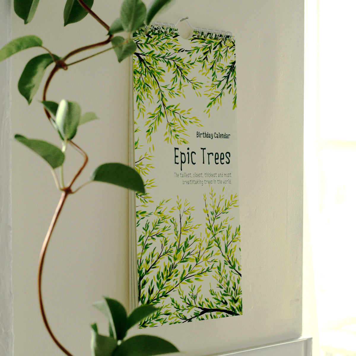 Epic Trees Calendar - Birthday Calendar – The Paperhood